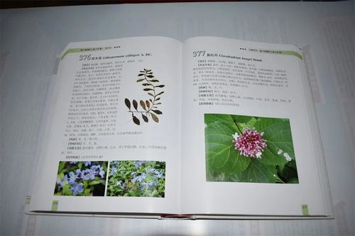 鸡公山万国文化研究会2021年会员代表大会暨文化艺术交流活动圆满举行